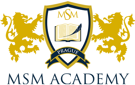 MSM Academy